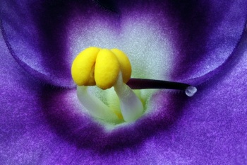 F 032A